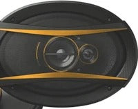 Golden Roar 6906