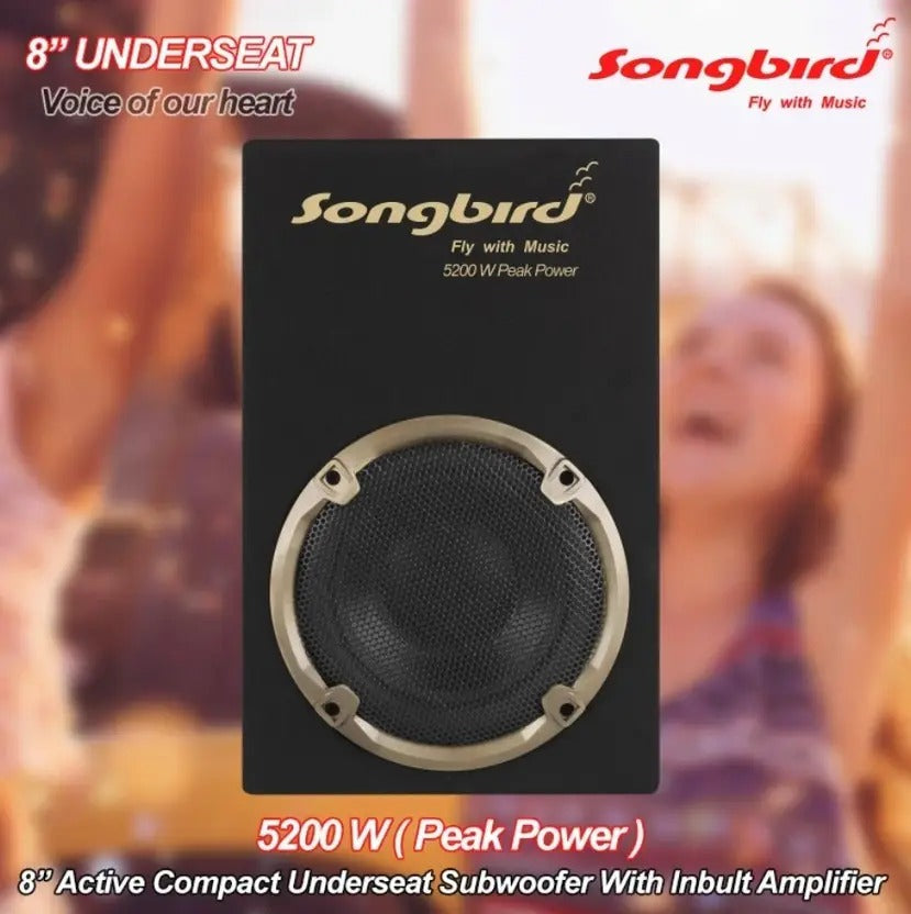 8 inch underseat Subwoofer with inbuilt amplifier 5200 W