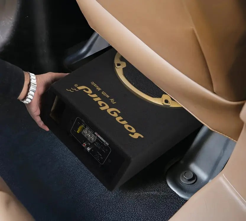 8 inch underseat Subwoofer with inbuilt amplifier 5200 W