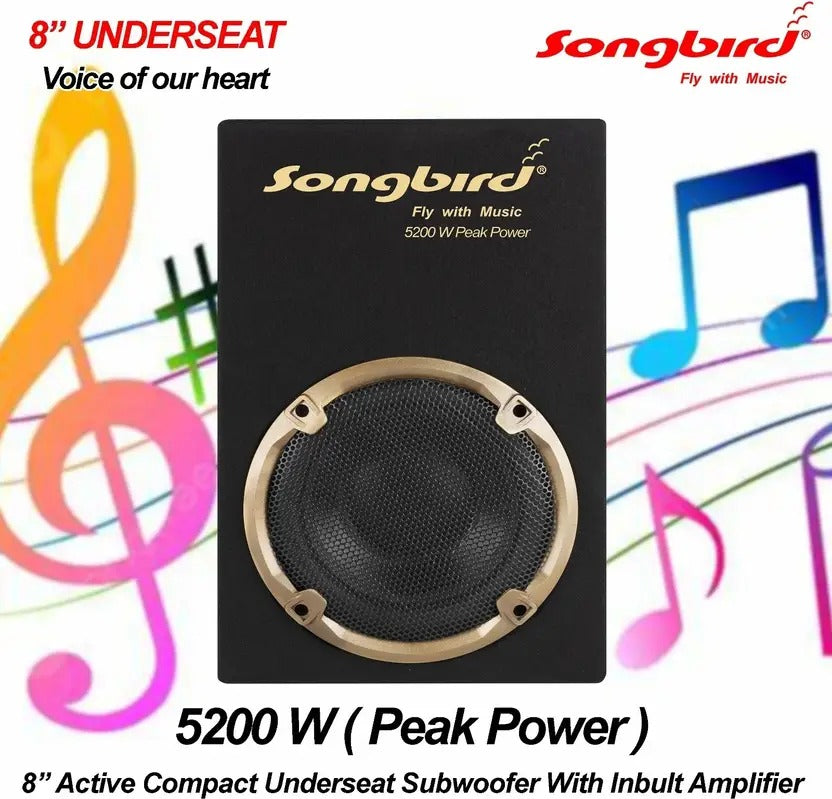 8 inch underseat Subwoofer with inbuilt amplifier 5200 W