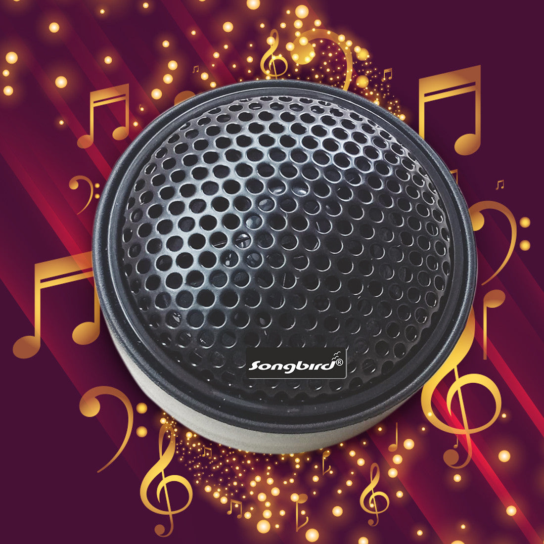 Dome Wave Pro