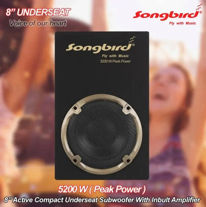 8 inch underseat Subwoofer  with inbuilt amplifier 5200 W